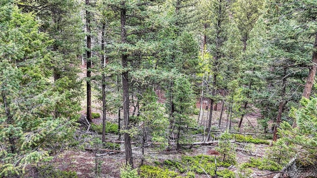 918 Pinon Ln, Florissant, CO 80816 - photo 15