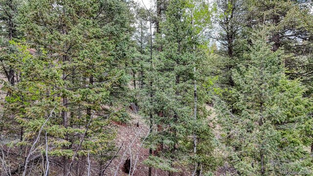 918 Pinon Ln, Florissant, CO 80816 - photo 16