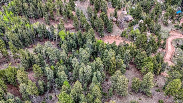 918 Pinon Ln, Florissant, CO 80816 - photo 18