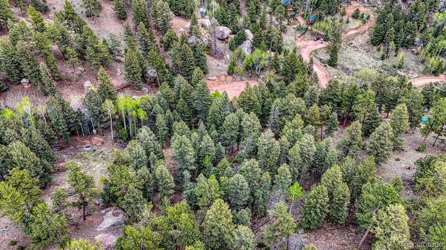 918 Pinon Ln, Florissant, CO 80816 - photo 19