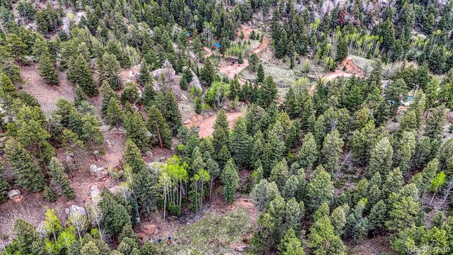 918 Pinon Ln, Florissant, CO 80816 - photo 20