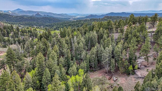 918 Pinon Ln, Florissant, CO 80816 - photo 21