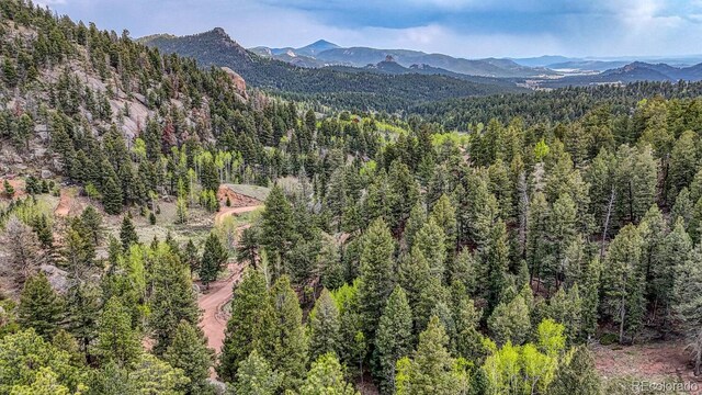 918 Pinon Ln, Florissant, CO 80816 - photo 22