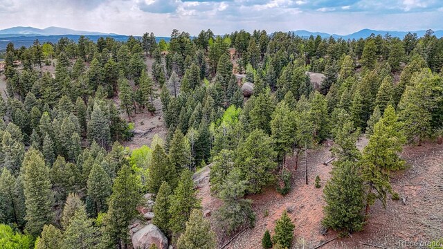 918 Pinon Ln, Florissant, CO 80816 - photo 23