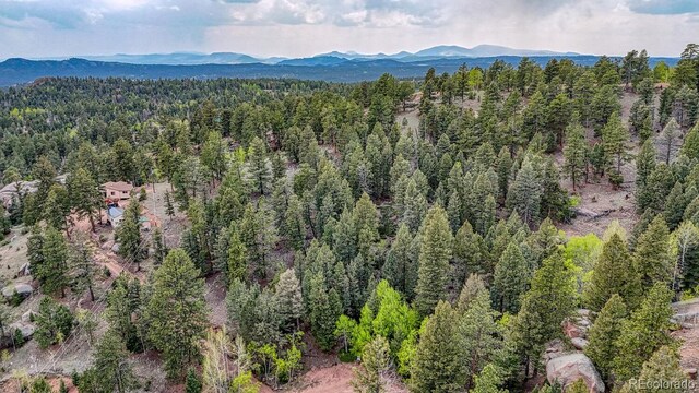 918 Pinon Ln, Florissant, CO 80816 - photo 24