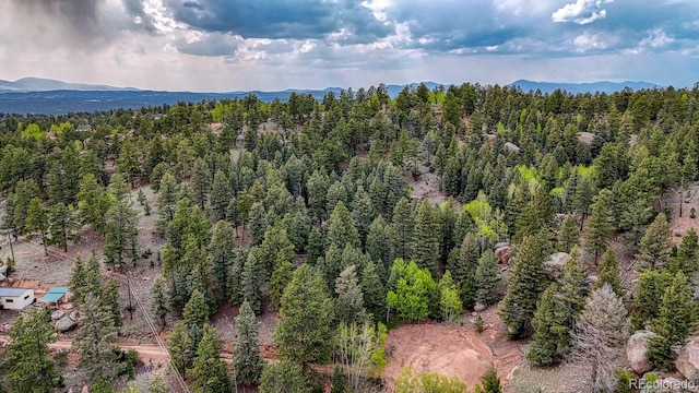 918 Pinon Ln, Florissant, CO 80816 - photo 25