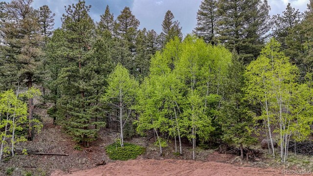 918 Pinon Ln, Florissant, CO 80816 - photo 26
