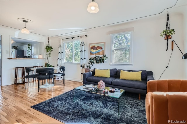 living room with a wealth of natural light and light hardwood / wood-style floors