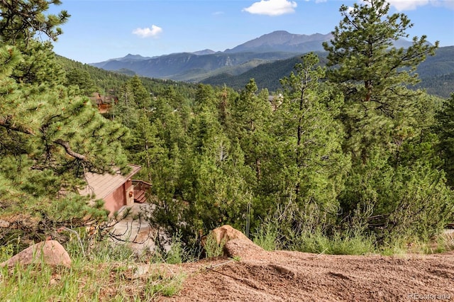 1130 Kings Crown Rd, Woodland Park, CO 80863 - photo 10