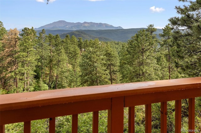 1130 Kings Crown Rd, Woodland Park, CO 80863 - photo 11