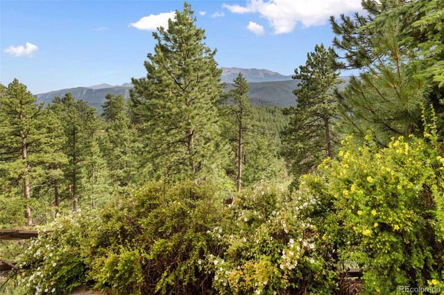 1130 Kings Crown Rd, Woodland Park, CO 80863 - photo 12