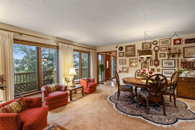 1130 Kings Crown Rd, Woodland Park, CO 80863 - photo 28