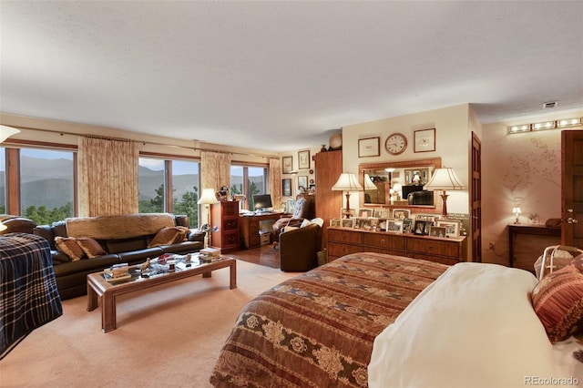 1130 Kings Crown Rd, Woodland Park, CO 80863 - photo 34