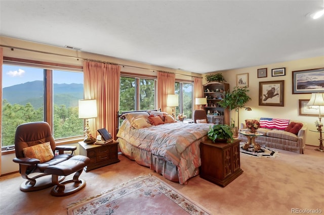 1130 Kings Crown Rd, Woodland Park, CO 80863 - photo 40