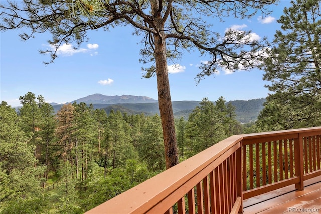 1130 Kings Crown Rd, Woodland Park, CO 80863 - photo 47