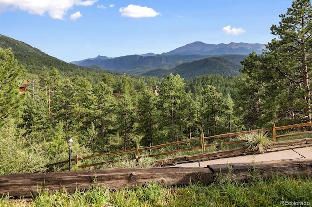 1130 Kings Crown Rd, Woodland Park, CO 80863 - photo 48