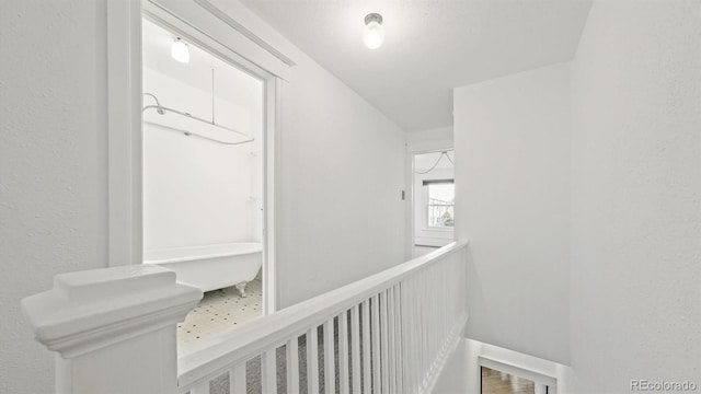 553 N Logan St, Denver, CO 80203 - hall with an upstairs landing and wood finished floors