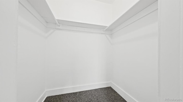 553 N Logan St, Denver, CO 80203 - spacious closet featuring carpet flooring