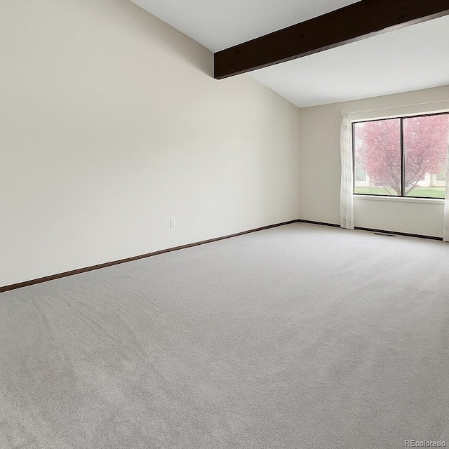 8133 W Quarto Ave, Littleton, CO 80128 - photo 4