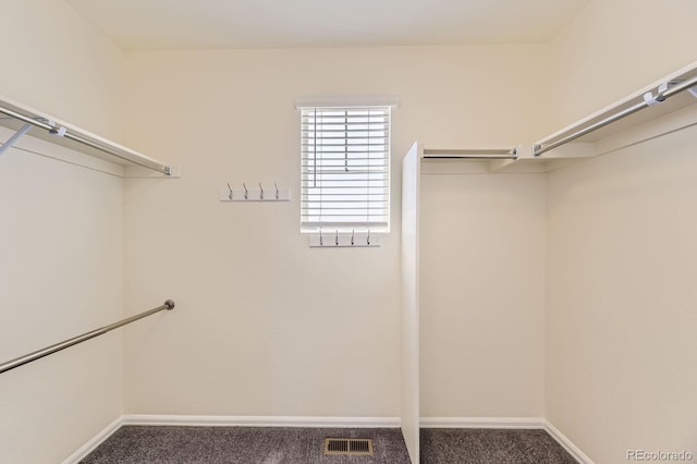 walk in closet featuring visible vents and carpet floors