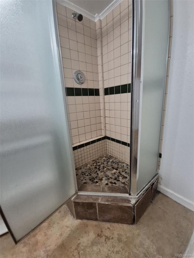 3136 S Cathay Cir, Aurora, CO 80013 - bathroom with a shower stall and ornamental molding