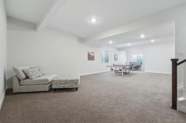 11492 Stonewash St, Littleton, CO 80125 - photo 34