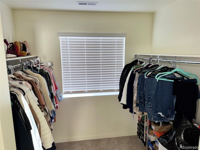 walk in closet with carpet