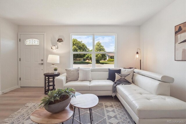 1718 S Flanders Way, Aurora, CO 80017 - living area featuring wood finished floors and baseboards
