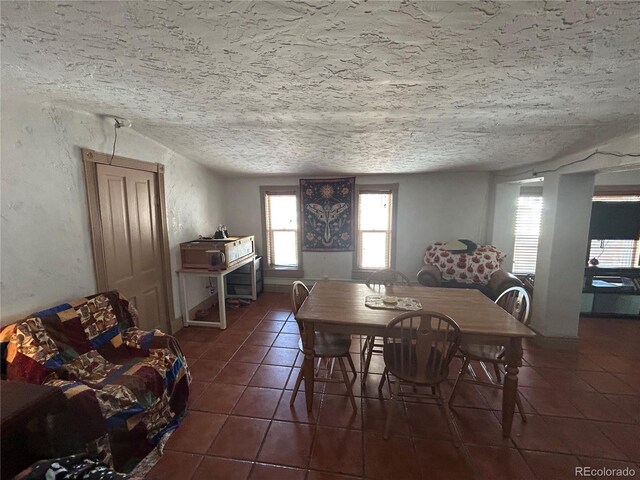 300 3rd St, Saguache, CO 81149 - dining area with dark tile patterned floors, a textured wall, and a textured ceiling