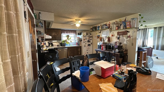 interior space featuring a textured ceiling, a healthy amount of sunlight, and ceiling fan