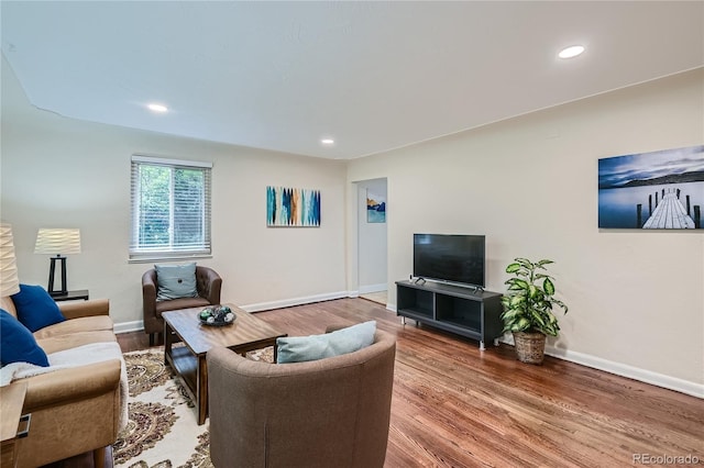 living room featuring hardwood / wood-style floors