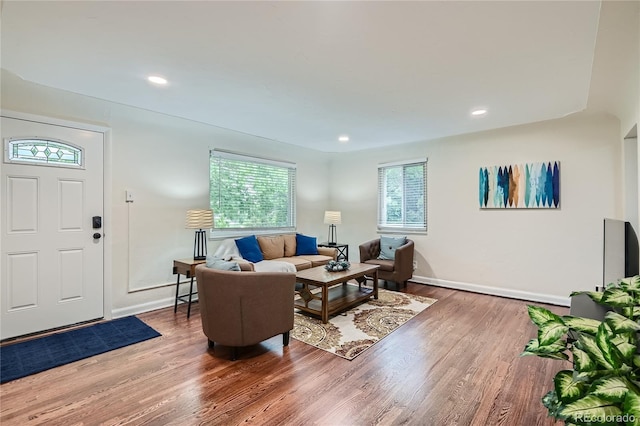 living room featuring hardwood / wood-style flooring