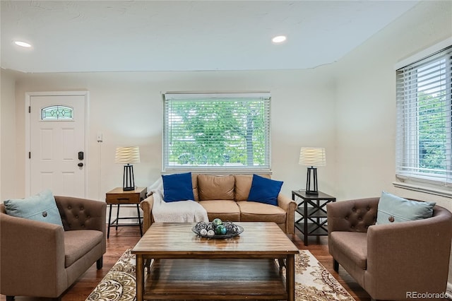 living room featuring hardwood / wood-style flooring and a healthy amount of sunlight