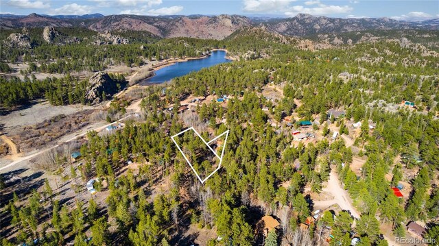 721 Nokomis Rd, Red Feather Lakes, CO 80545 - photo 28
