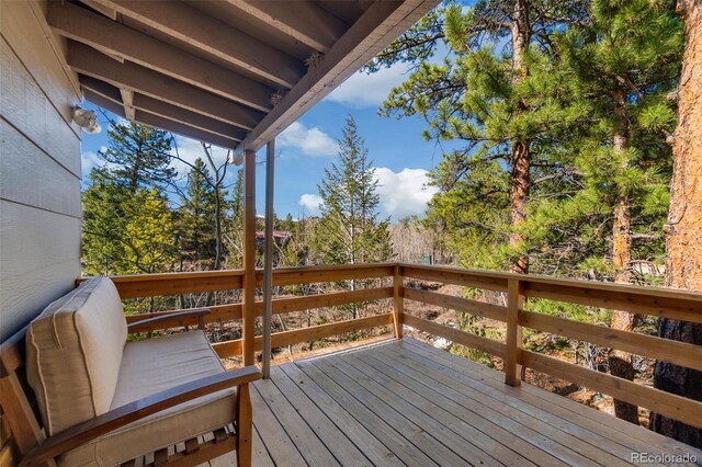 721 Nokomis Rd, Red Feather Lakes, CO 80545 - photo 16