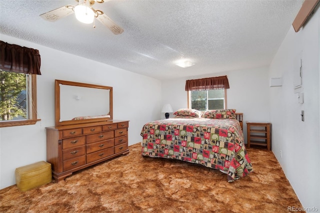 721 Nokomis Rd, Red Feather Lakes, CO 80545 - photo 17