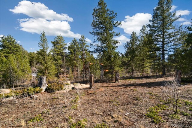 721 Nokomis Rd, Red Feather Lakes, CO 80545 - photo 23