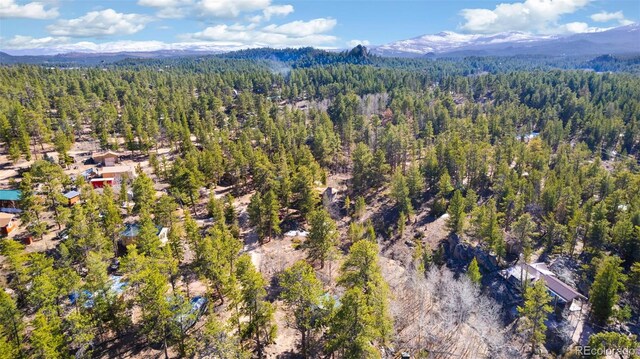 721 Nokomis Rd, Red Feather Lakes, CO 80545 - photo 26