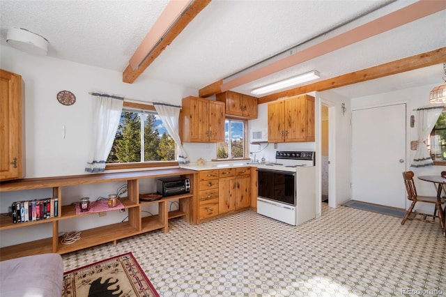 721 Nokomis Rd, Red Feather Lakes, CO 80545 - photo 3