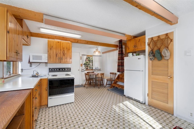 721 Nokomis Rd, Red Feather Lakes, CO 80545 - photo 4