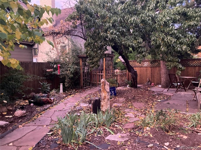 view of yard with a patio area