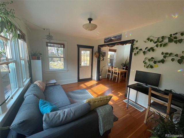 living room with hardwood / wood-style flooring