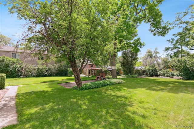 305 W Brookside St, Colorado Springs, CO 80905 - view of grassy yard