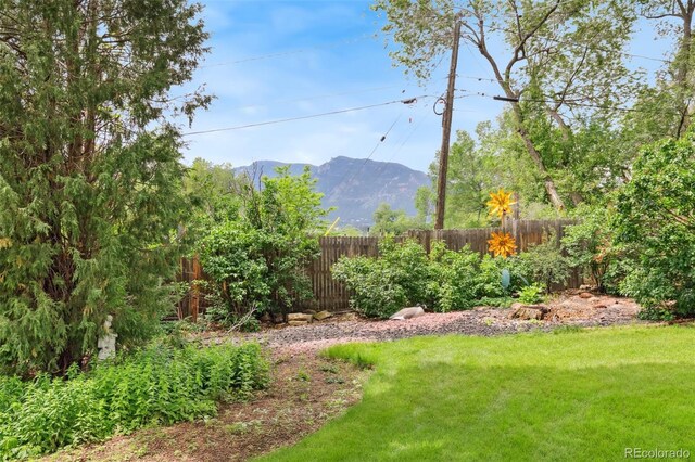 305 W Brookside St, Colorado Springs, CO 80905 - view of yard featuring a mountain view