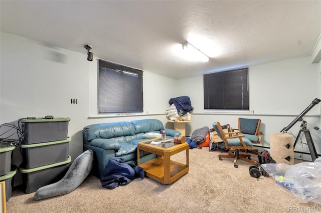 7930 S Kendall Ct, Littleton, CO 80128 - view of carpeted living room
