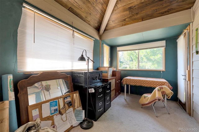 7930 S Kendall Ct, Littleton, CO 80128 - bedroom featuring carpet and wooden ceiling