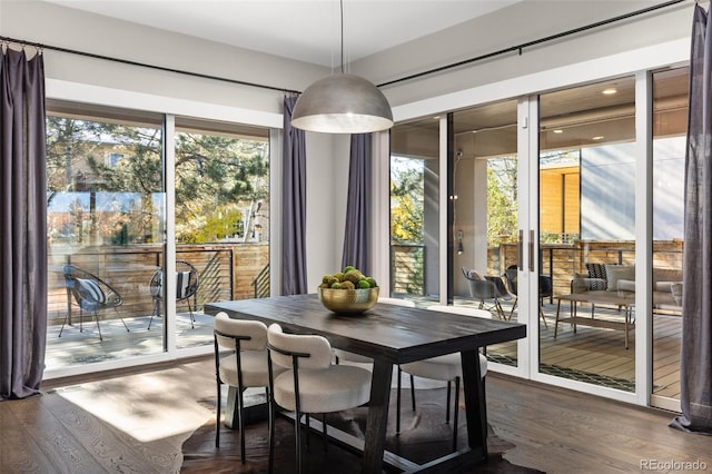 dining area with plenty of natural light and dark hardwood / wood-style floors