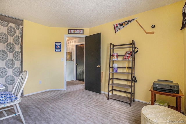 carpeted office with a textured ceiling and baseboards