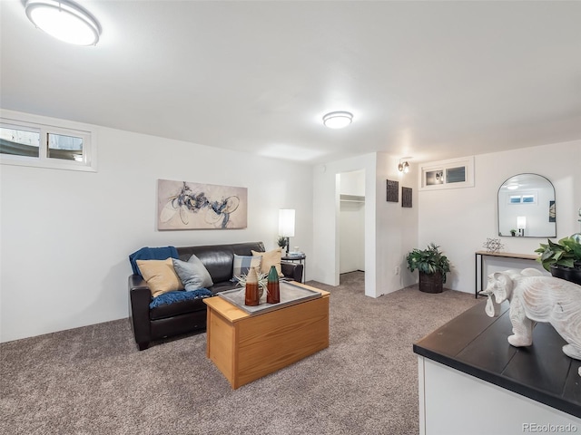 living room featuring carpet flooring