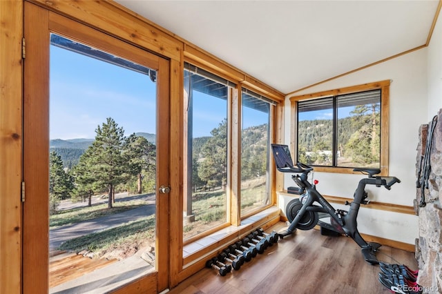 6640 Kilimanjaro Dr, Evergreen, CO 80439 - exercise room featuring baseboards, vaulted ceiling, a mountain view, and wood finished floors